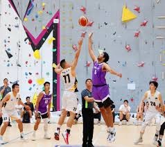 佩德罗马丁尼兹在禁药时代如何用智慧统治打者